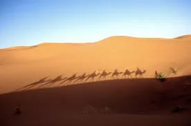 freetousemerzouga2.jpeg