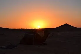 freetousemerzouga7.jpeg