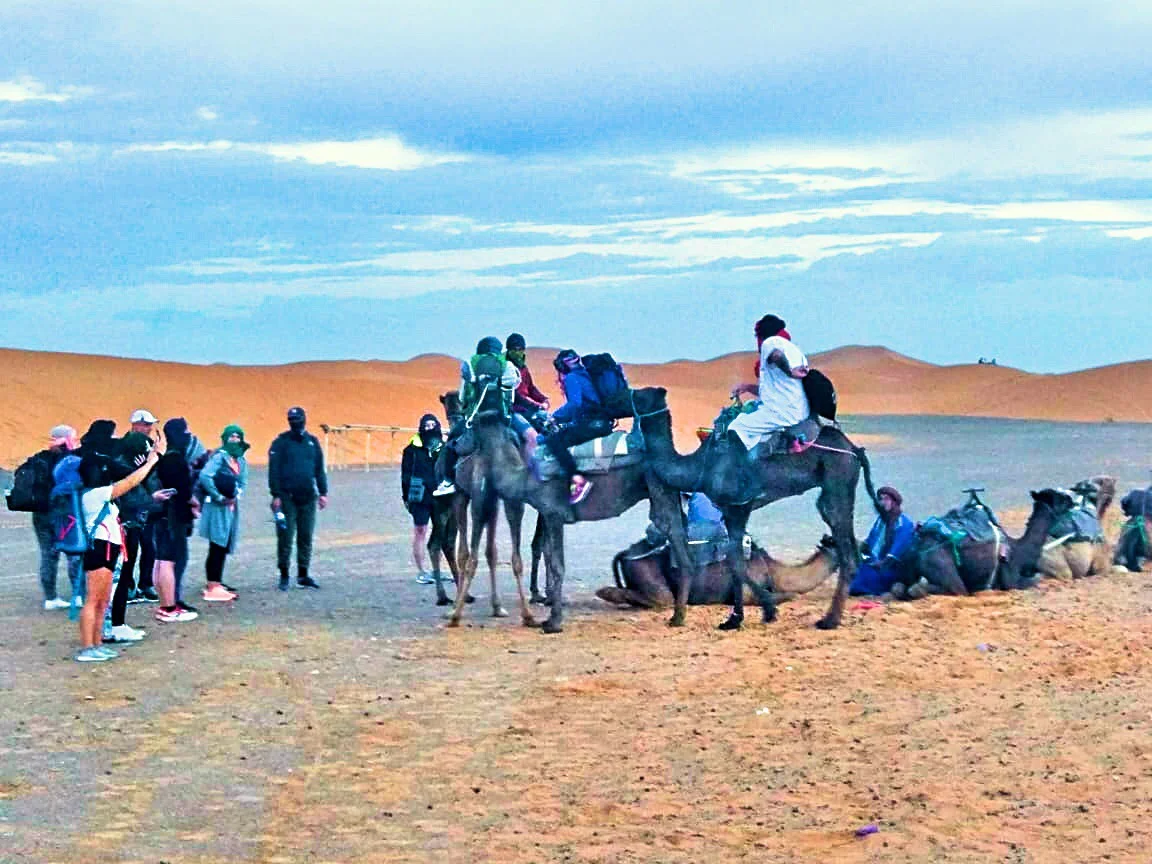 merzouga sahara desert morocco.jpg