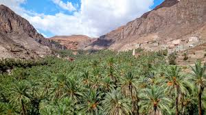 ouarzazate5.jpeg