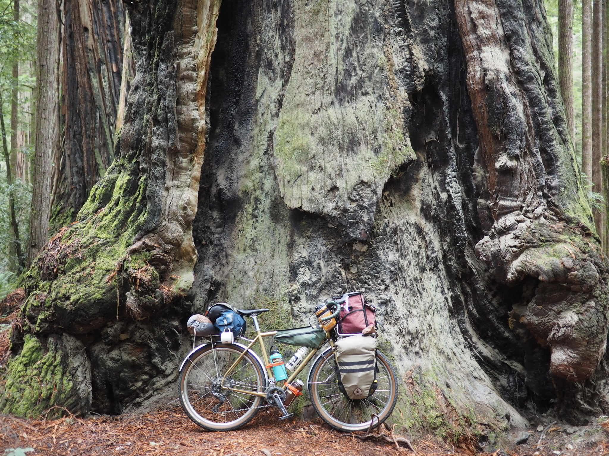 Intro to Bikecamping
