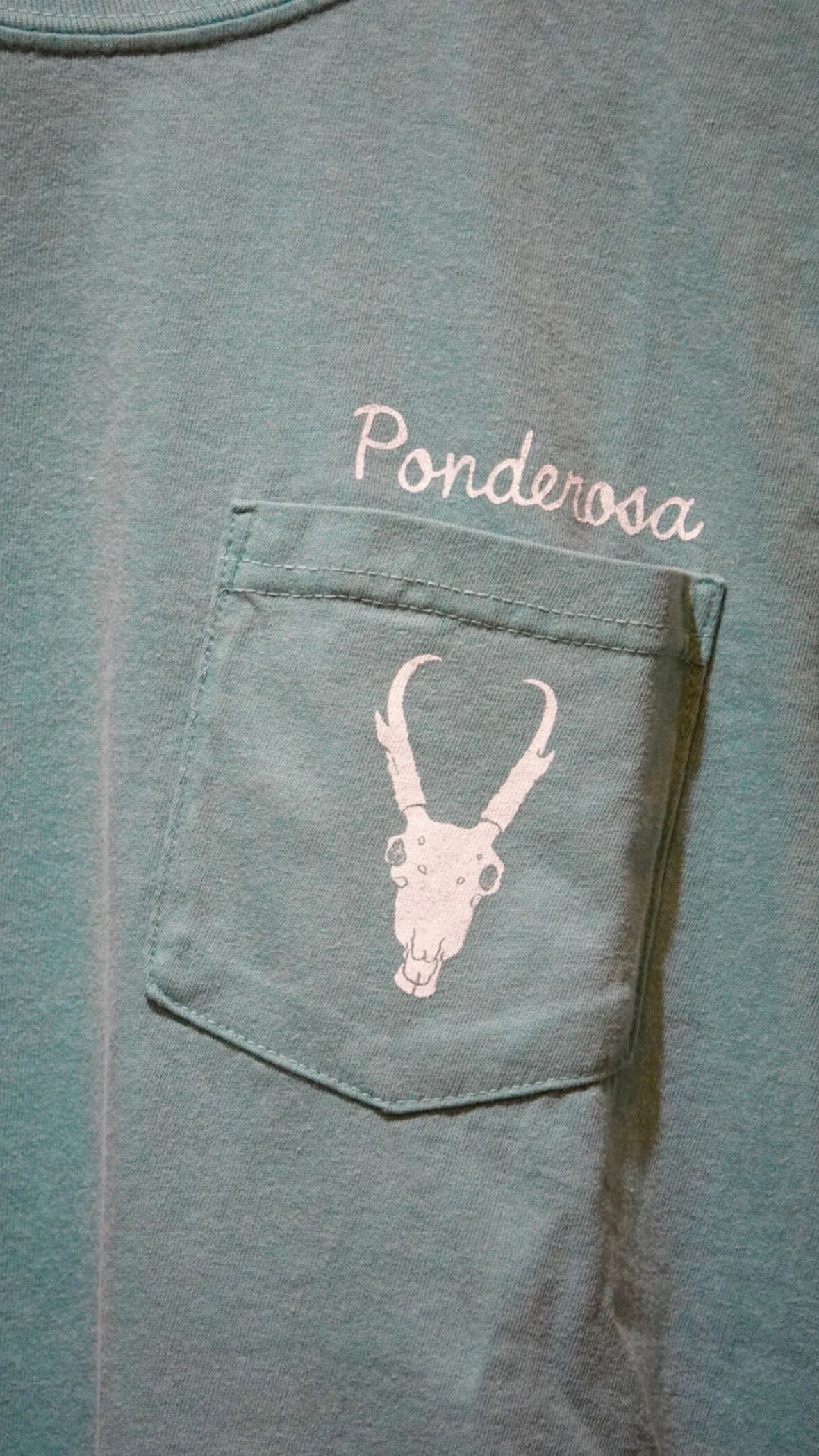 4963B55B-6D86-4F97-8FBD-F027F5BC8A9B