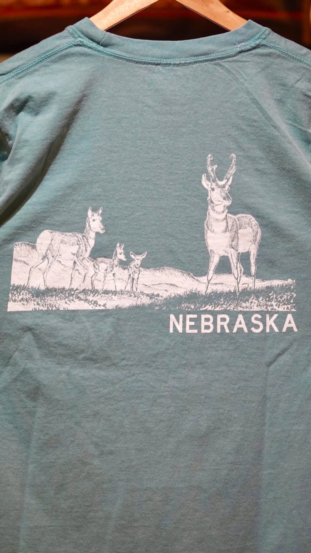 A94FA523-3A05-41EC-A1E9-D70A52AA51C1