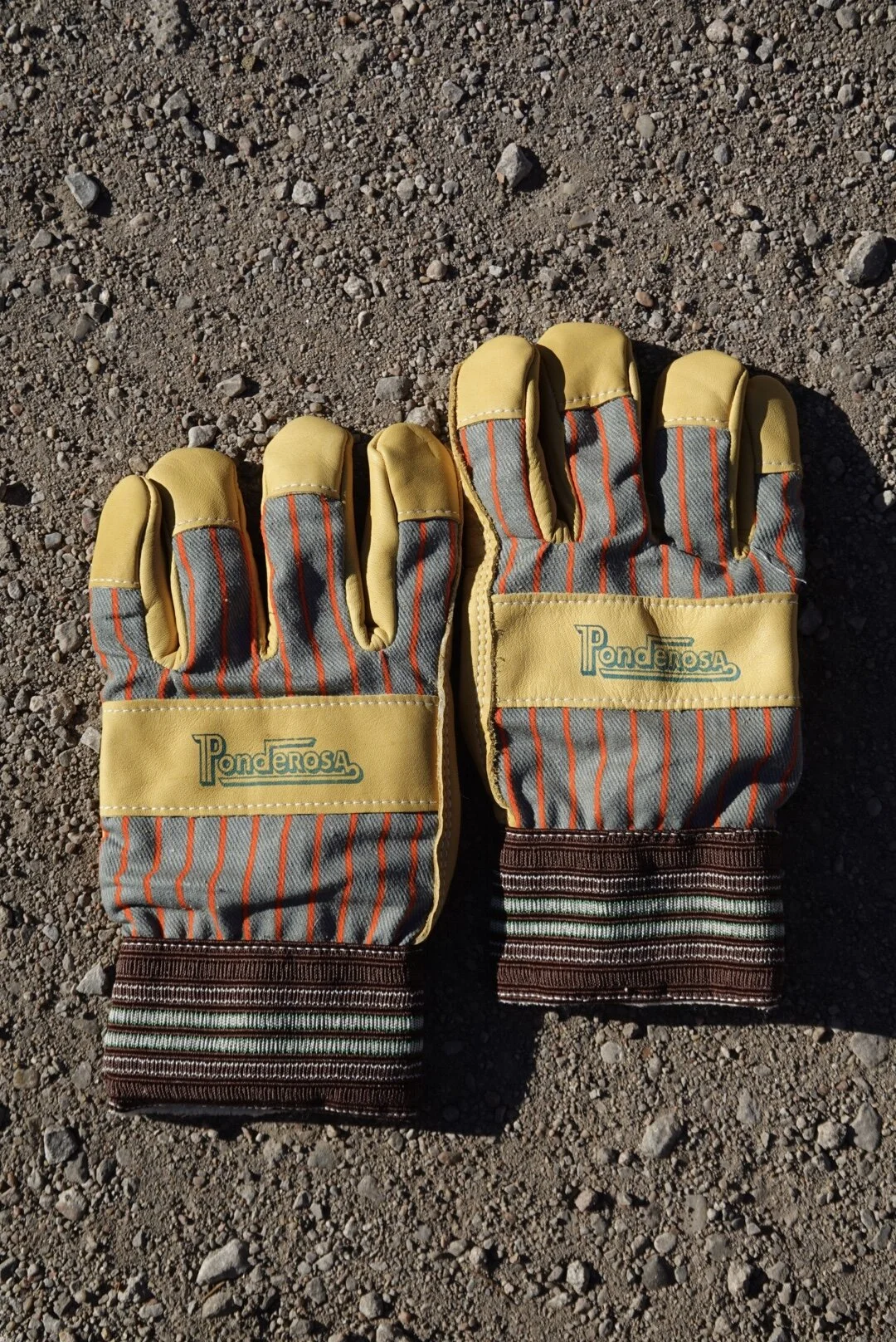 F4134B5A-A8A2-43BD-BD54-EDC00A6AAE14