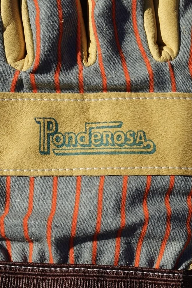 DE096A13-93C0-4BFF-BED4-41A85F616AEC