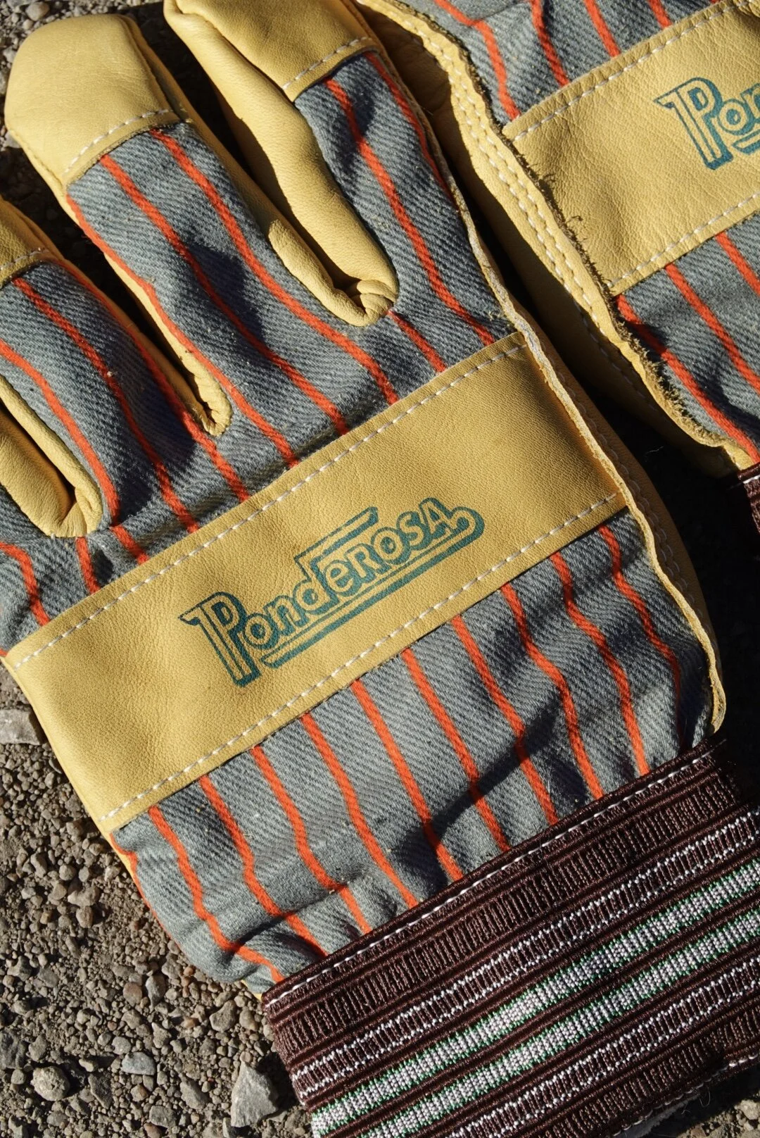 3851C526-AD95-4425-9F22-EB580F7DE1D7