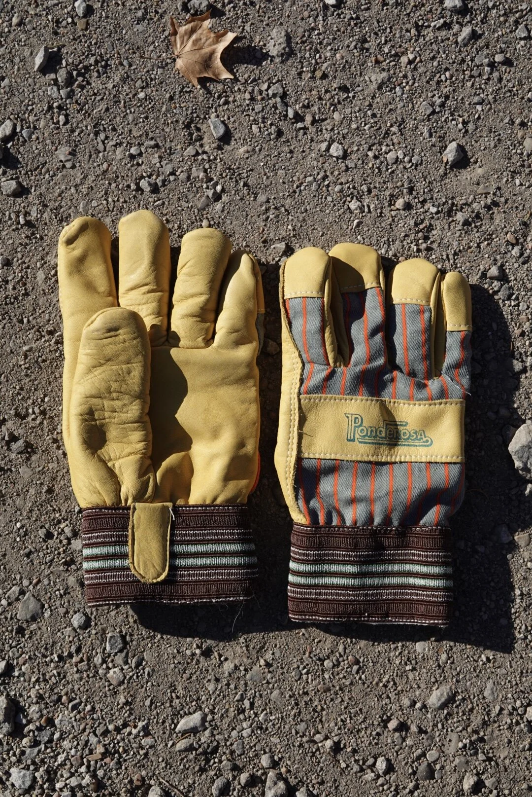 59512551-9C51-4771-98D1-867F26D62BDB