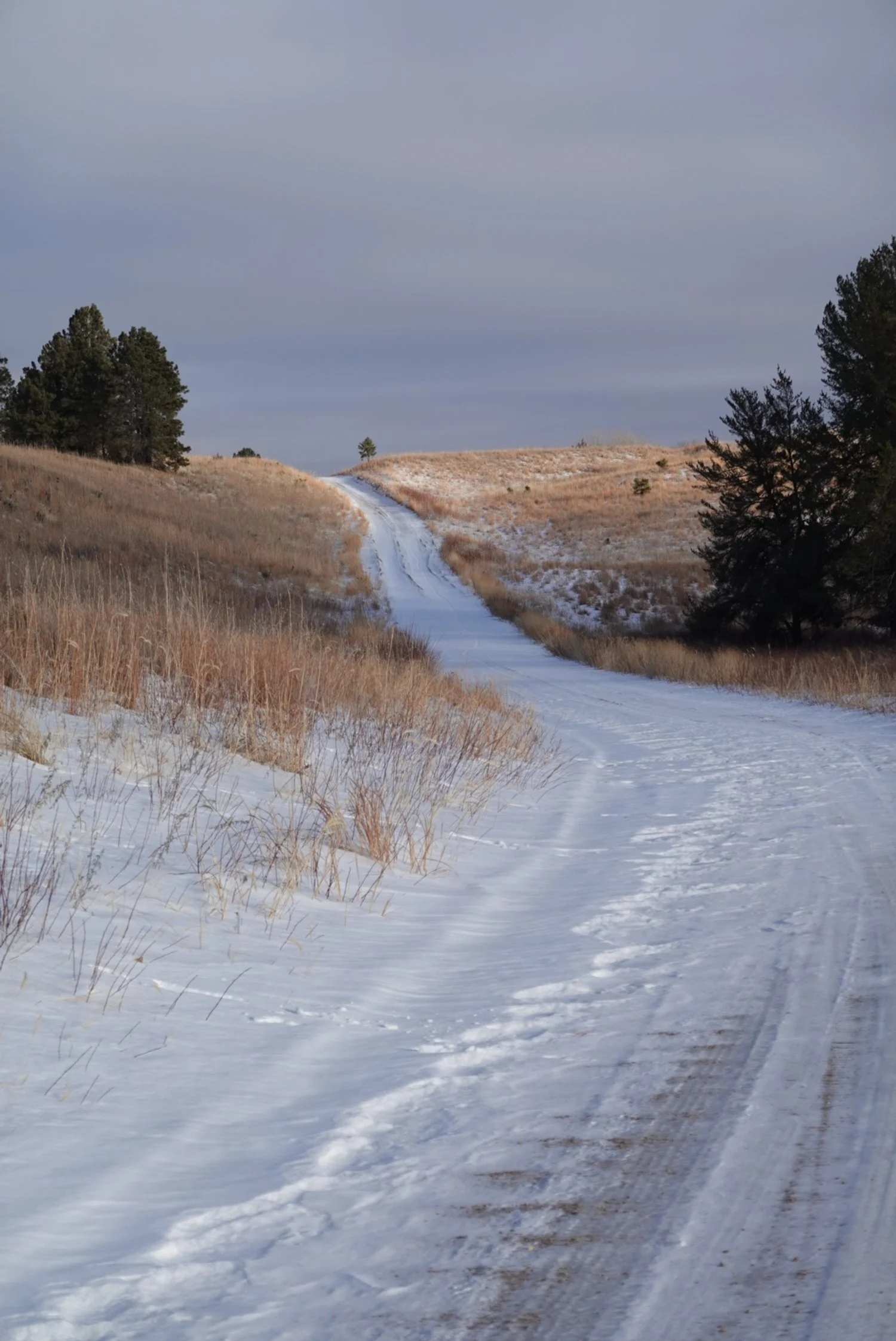 Background depicting picture of snowy trail