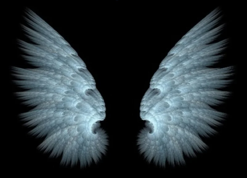 BullieswingsChris.jpg