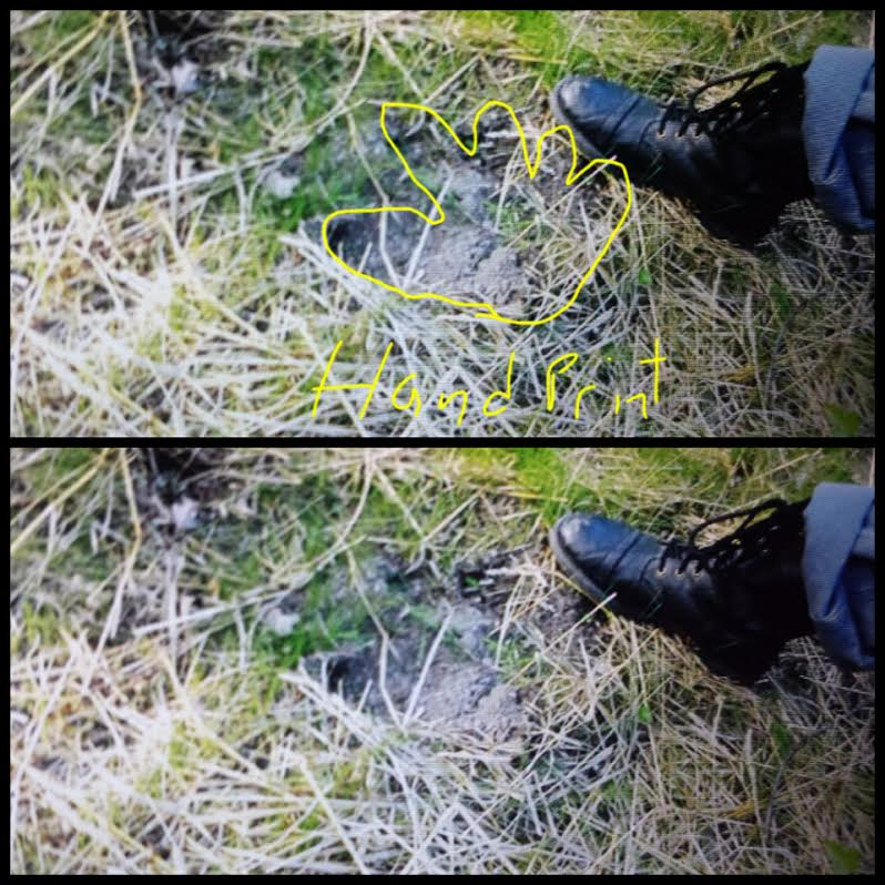 A handprint also found nearby.