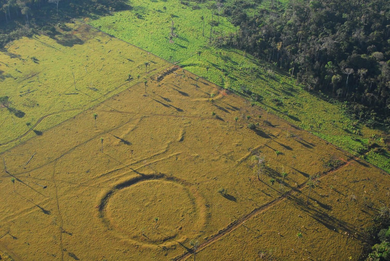 Amazonian geoglyph. Credit: Jenny Watling