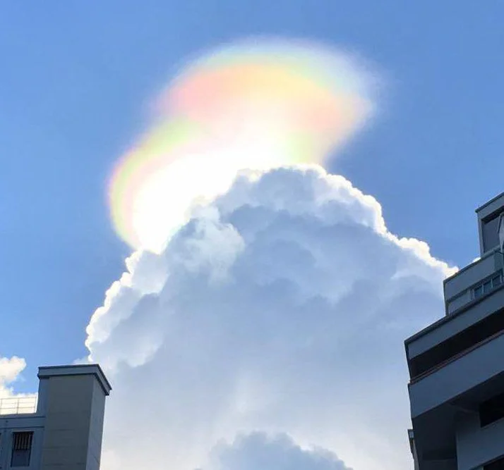 Image credit: Viral Press