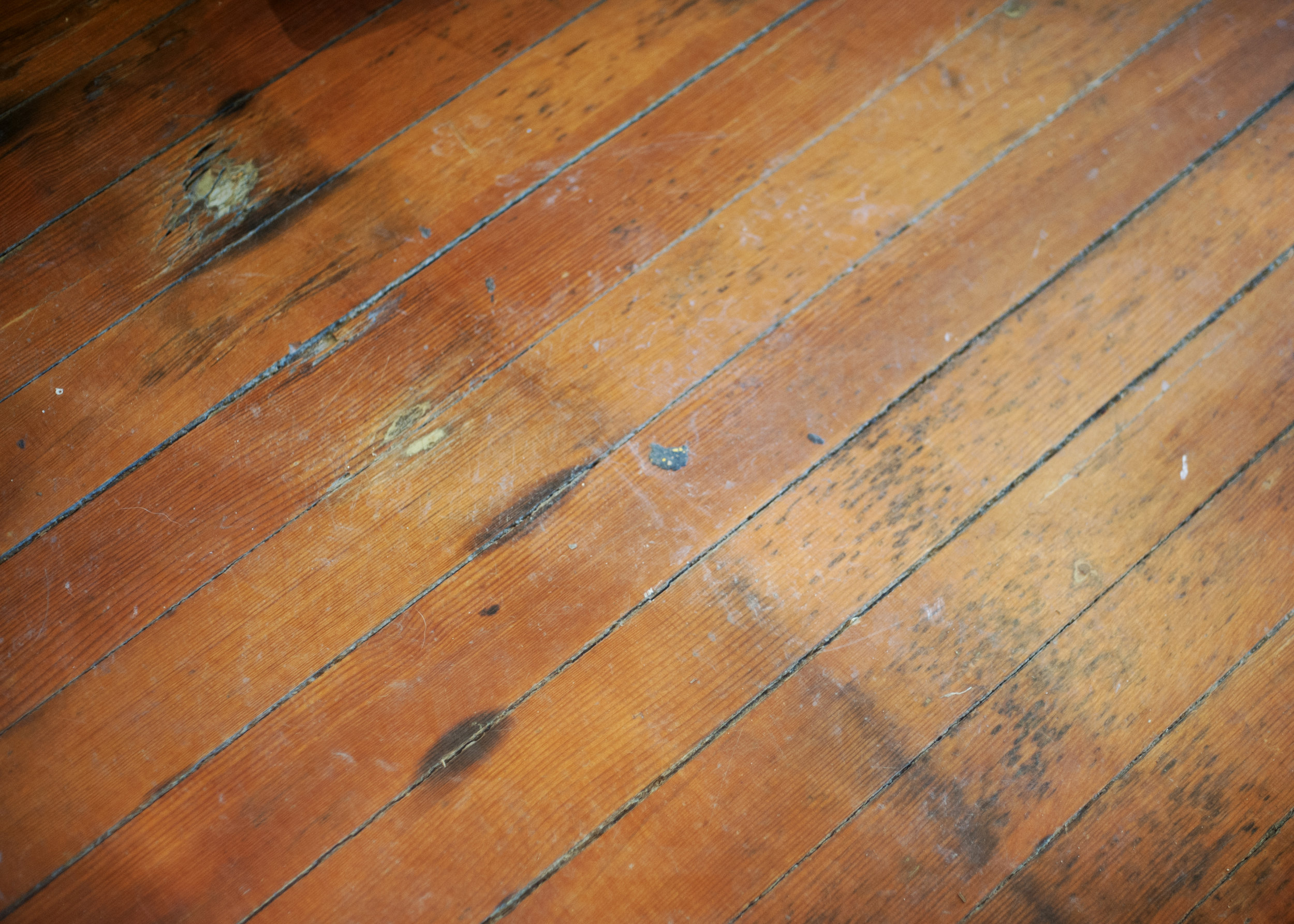 You can still clearly see the spot on the floor where the saloon's bar once stood. Image credit: Emily Bartos