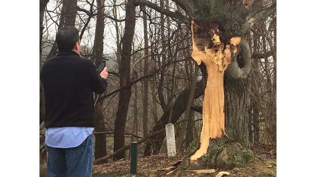 News 8 in Rochester's John Kucko visiting the tree. (Image credit: rochesterfirst.com)