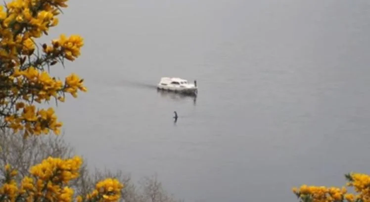 A still image from the recent footage.