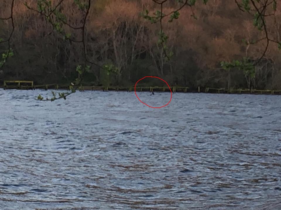 The photograph taken by Hayley Johnsonof an unknown object in the loch. (Image credit: The Sun)