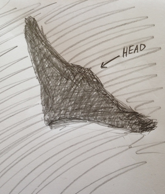 The witness's sketch of the gliding black shape.