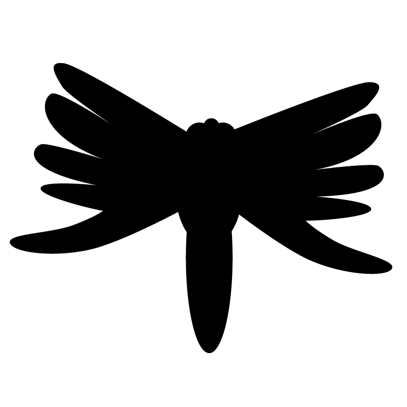 Artist's interpretation of the "huge flying shadow" seen over Possum Hollow.