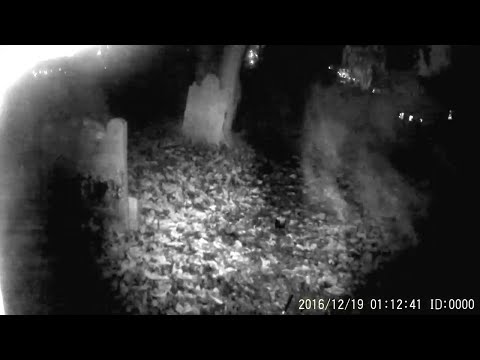 A still image from the video, which shows the mist as it moves across the right side of the screen.