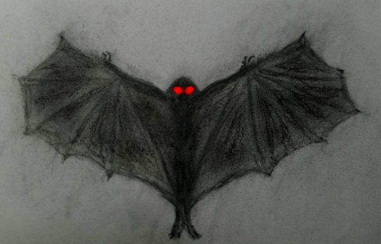 A sketch received from a modern witness in Chicago's Little Village.