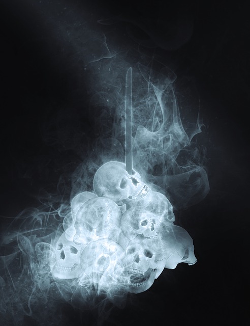 skulls-1678249_640.jpg