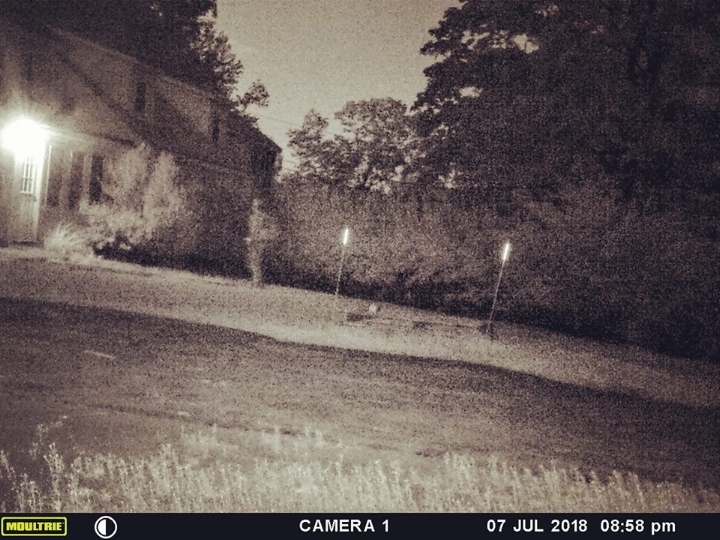 An image of the ghostly figure posted to Quest for the Unknown. ( Image credit: Tia Wilson )