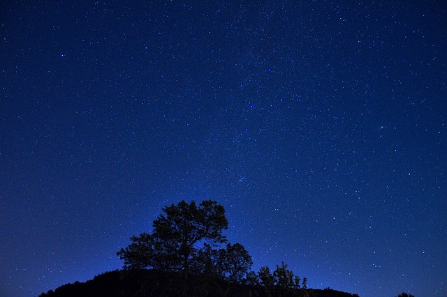 night-976900_640.jpg
