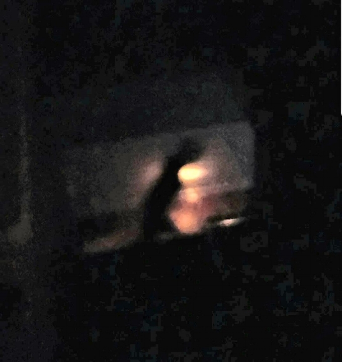 A still image of the being that ran across the woman's stairway. 