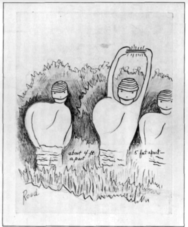 A sketch made by Stringfield of the creatures described by Hunnicutt.