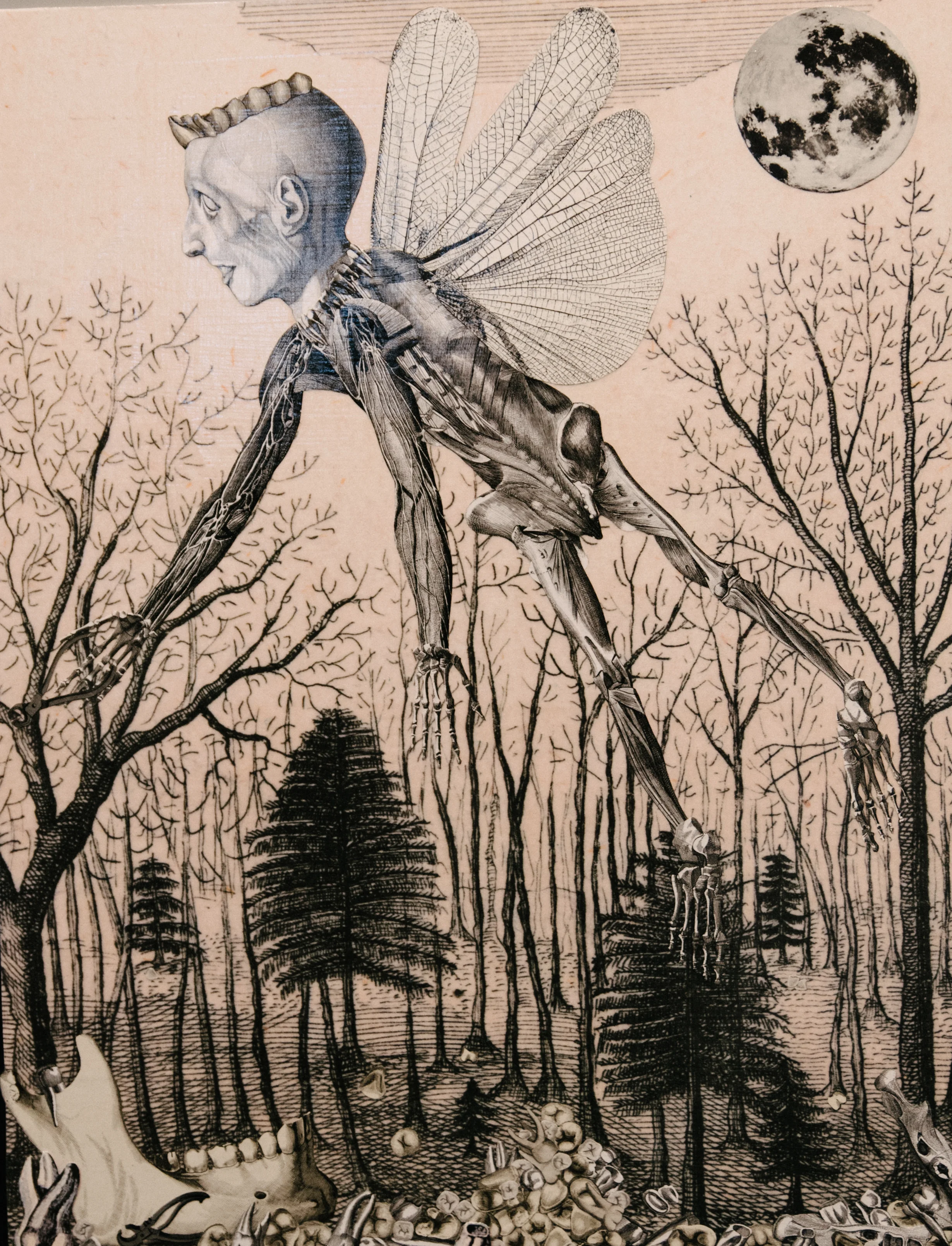 godsandmonsters-42.jpg