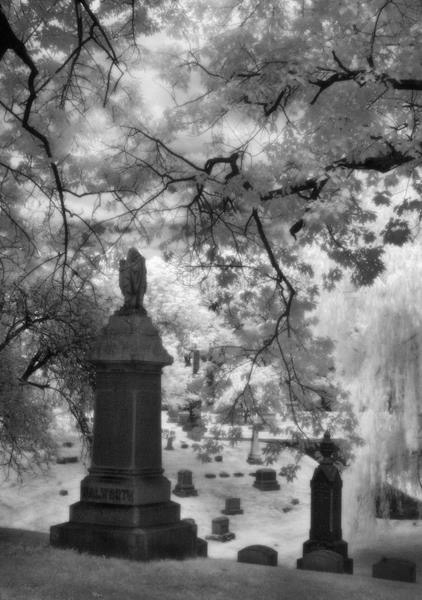 Forest Home Cemetery , Corey Schjoth