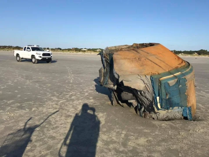 A second angle of the mysterious object. (Image credit: Lowcountry Marine Mammal Network/Facebook)