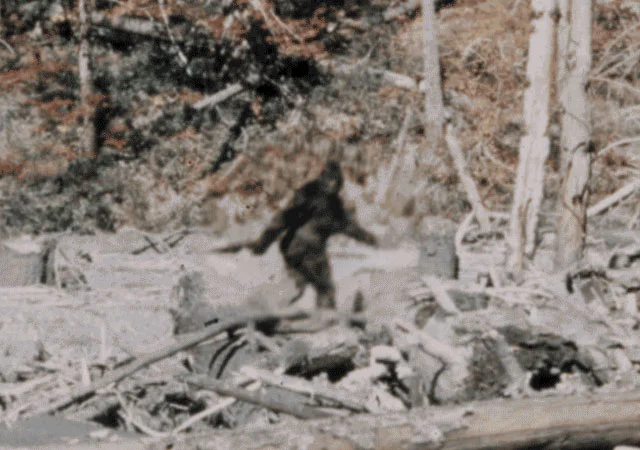 patterson-bigfoot-stabilized.jpg
