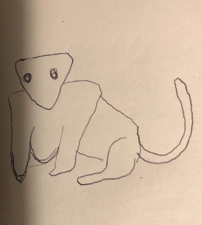 A sketch of the animal provided by the witness.