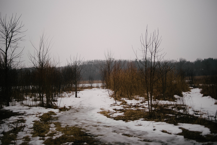 The Dufield Pond Conservation Area is approximately 78 acres in size. (Emily Wayland / Singular Fortean Society)