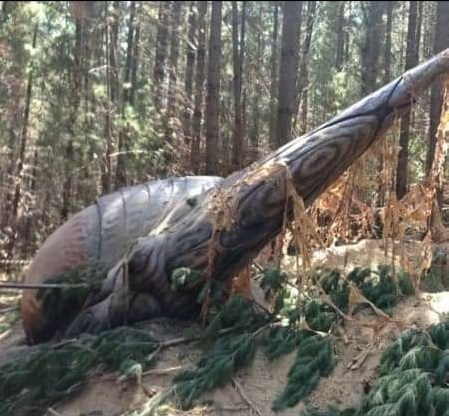 This image was sent to MUFON as proof of an extraterrestrial craft. (MUFON)