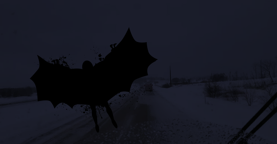 Ghost Hunter Reports Collision with 'Miniature Mothman' near Wittenberg, Wisconsin