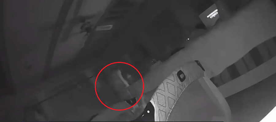 Michigan Couple Capture Ghost on Nanny Cam Following Incident of Mysterious Scratches Appearing on Daughter's Face