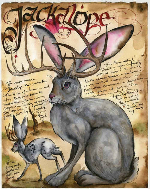 Bambi may not do as many cryptids as she would like, but when she does, the work is nothing short of legendary.
