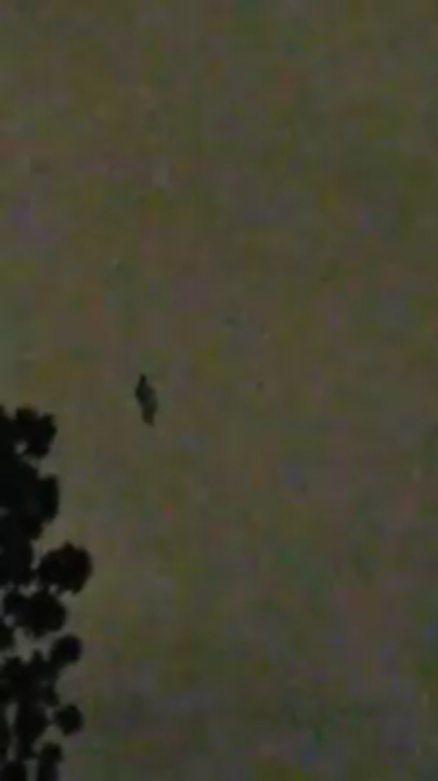A still image of the object in flight. (Pablo Morales / YouTube)