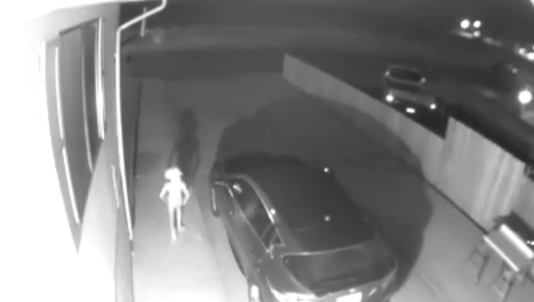 A still image of the supposed creature. (Vivian Gomez)