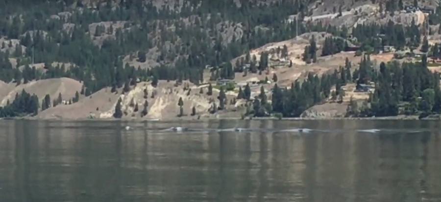 A still image from the video shared with Global News. (Global News)