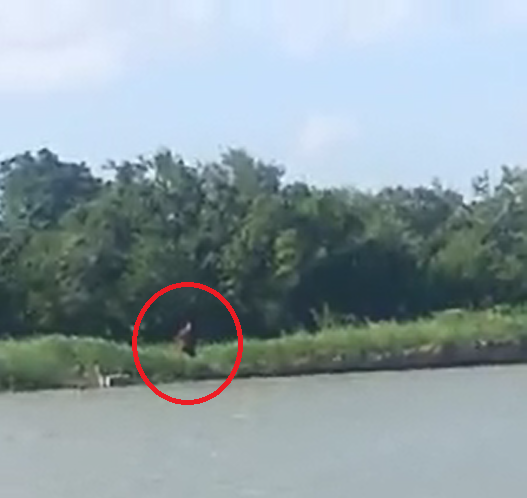 The circled creature was said to “resemble a hairy man.” (True Horror Stories of Texas)