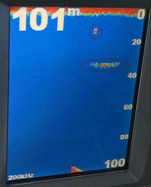 The number along the right side of the screen indicate depth in meters; the mysterious object is approximately 115 feet below the surface. (Mike Bell / Deadline News)