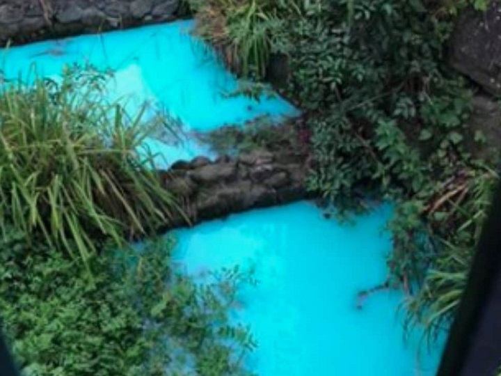 The River Frome mysteriously turned bright blue last week. (Environment Agency)