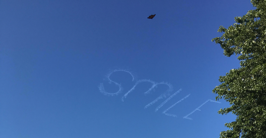 Monarch Butterfly Likely to Blame for Recent 'Mothman' Photo out of Chicago