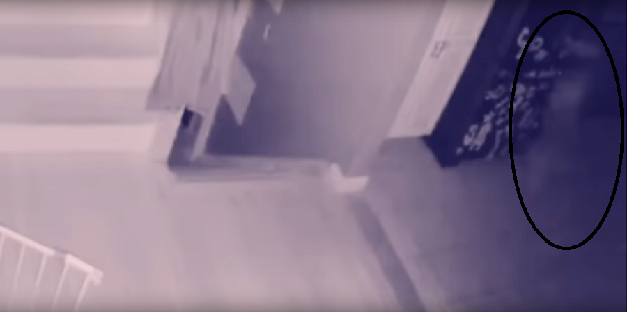 'Strange Visitor' Caught on Home Security Camera in New York