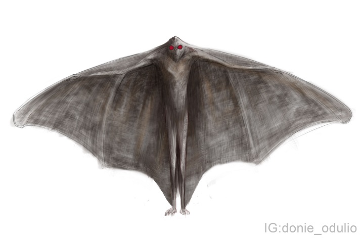 Bobbi said that the creature she and her son saw was similar in appearance to illustrations of the Mothman drawn by artist Donie Odulio. ( Donie Odulio )