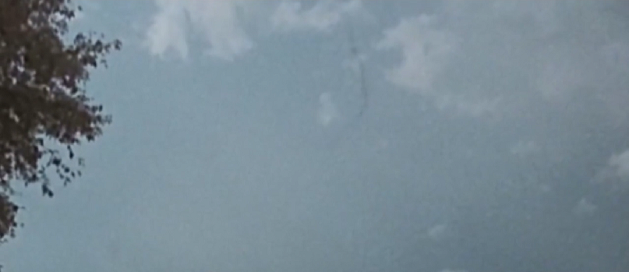 Mysterious Black Object Recorded over Detroit Lakes, Minnesota, 'Can't be a Bug,' Says Newscaster