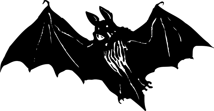bat-2027826_1280.png